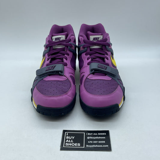 Size 9 - Nike Air Trainer 3 Retro 2020 Viotech Purple Grey Leather (CZ6393-500)