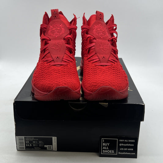 Size 13 - Nike LeBron 17 Red Carpet (BQ3177-600)