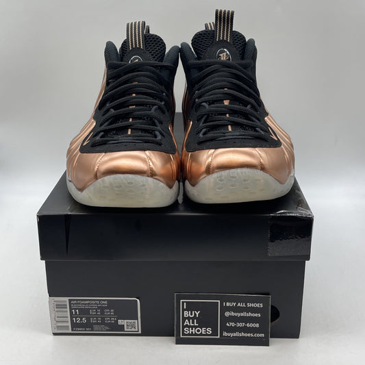 Size 11 - Nike Air Foamposite One 2024 Copper (FZ9902-001)