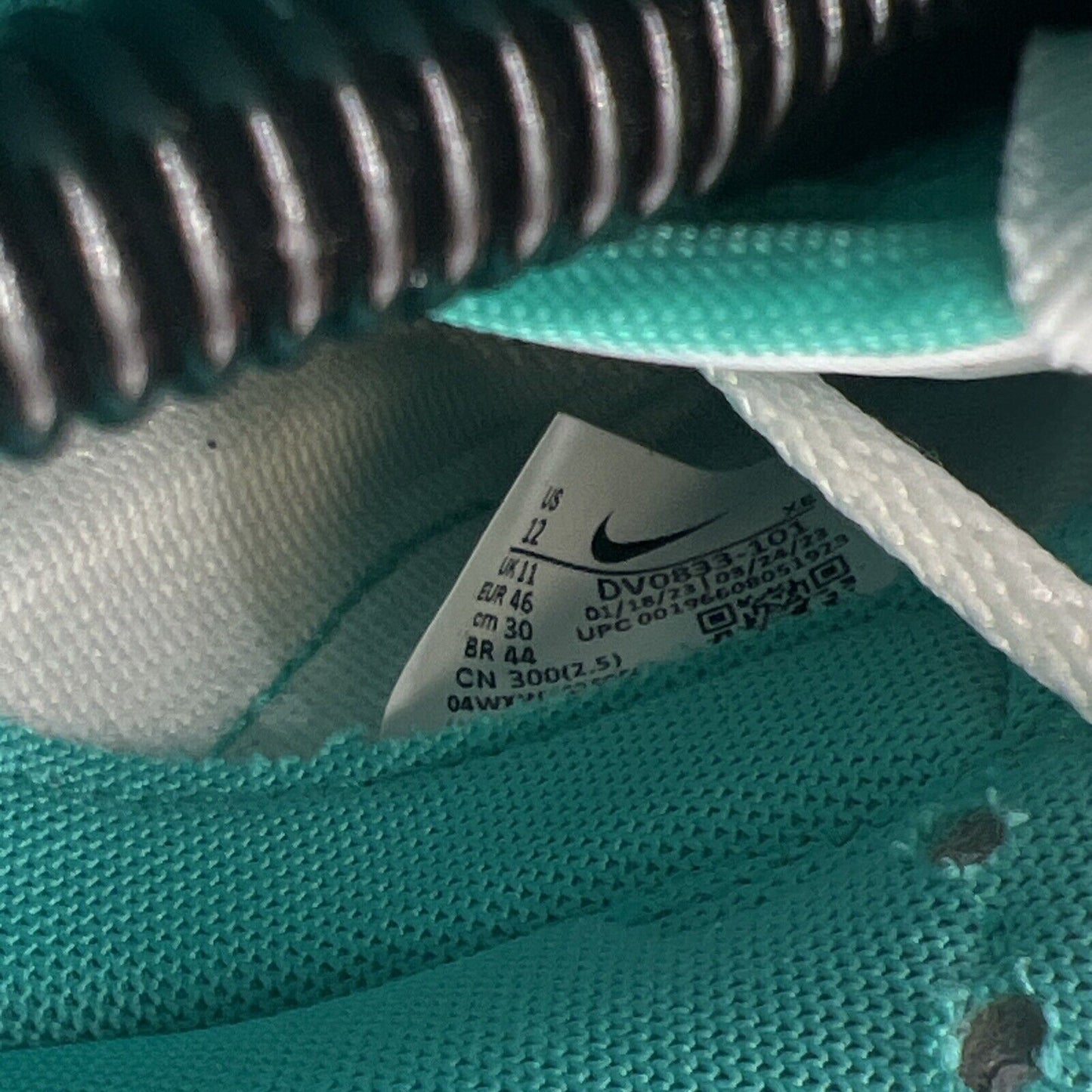 Size 12 - Nike Dunk Low Clear Jade (DV0833-101)