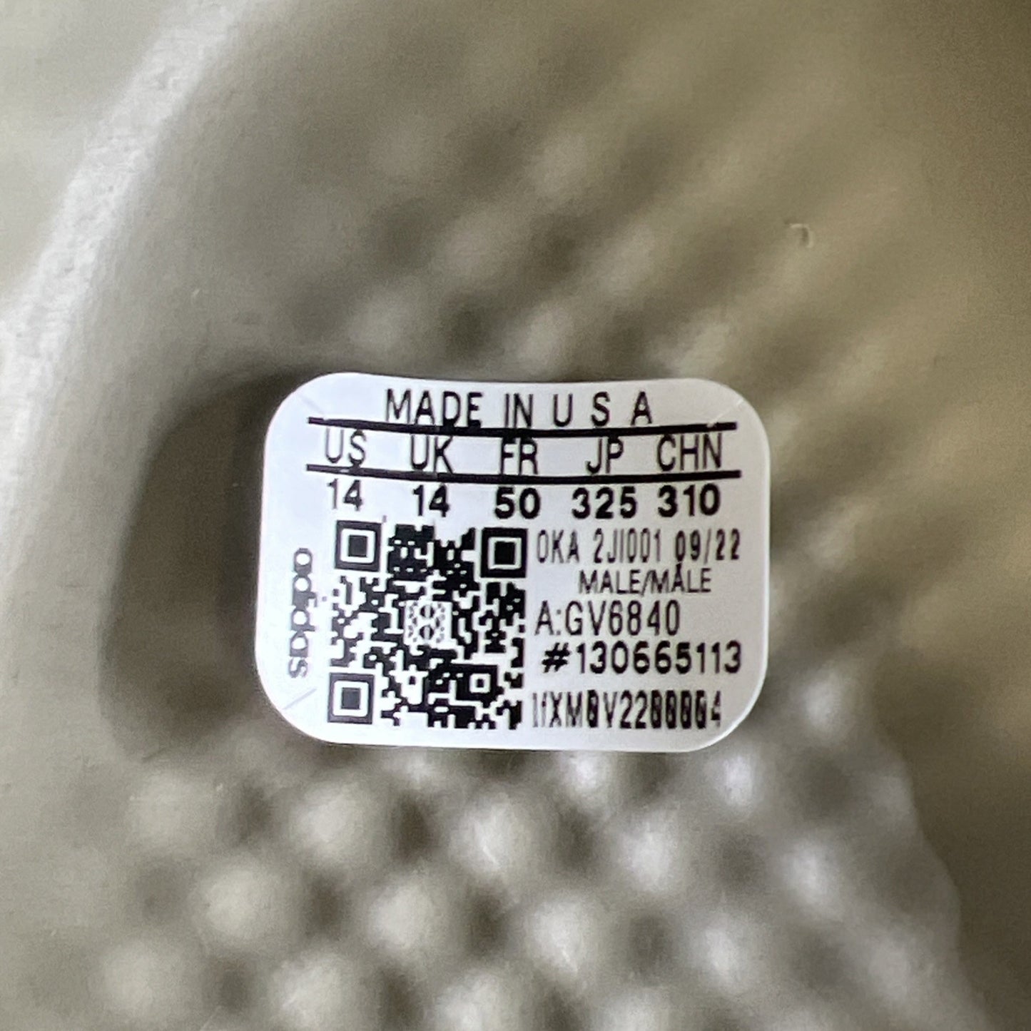 Size 14 - adidas Yeezy Foam RNR Stone Salt (GV6840)