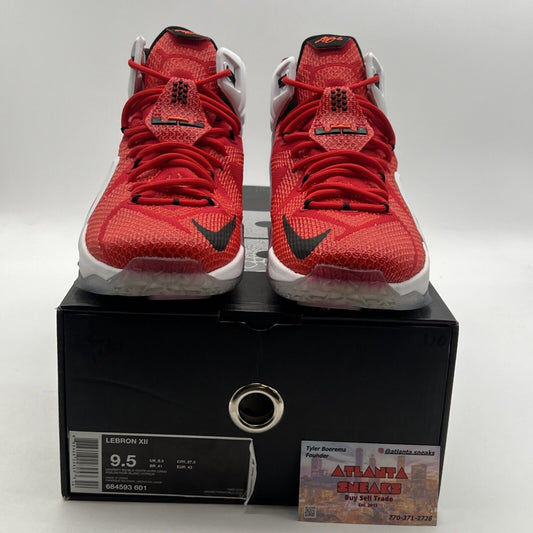 Size 9.5 - Nike LeBron 12 Heart Of A Lion (684593-601)