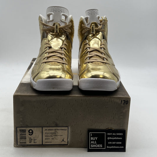 Size 9 - Air Jordan 6 Retro Pinnacle (854271-730)
