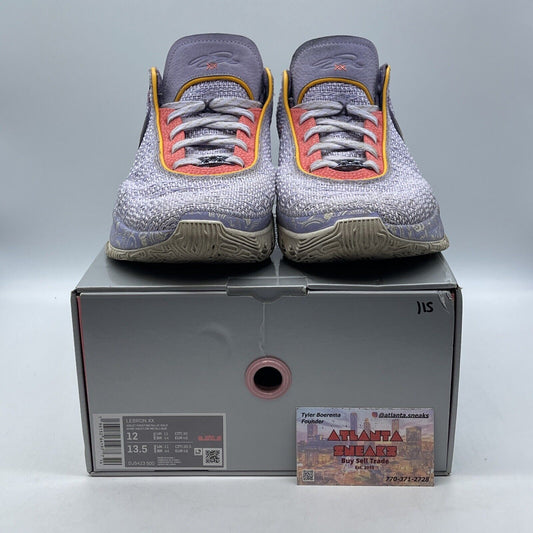Size 12 - Nike LeBron 20 Low Purple And Gold Blue Yellow Suede (DJ5423-500)