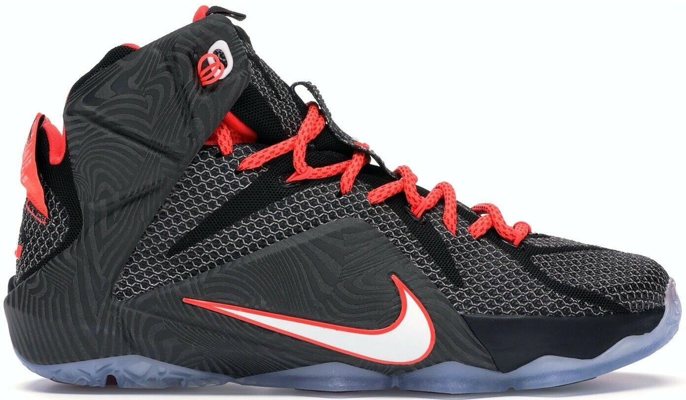 Size 14 - Nike LeBron 12 Court Vision (684593-016)