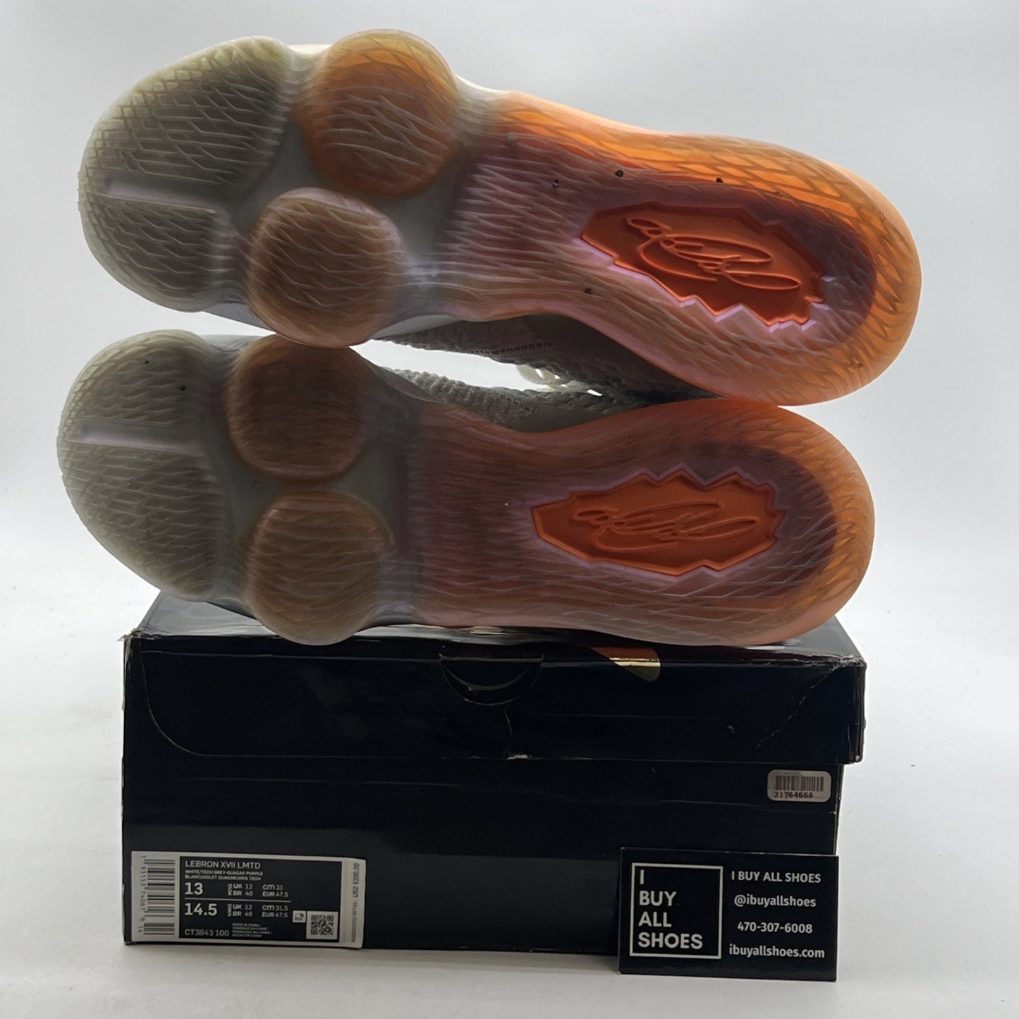 Size 13 - Nike LeBron 17 LMTD Future Air (CT3843-100)