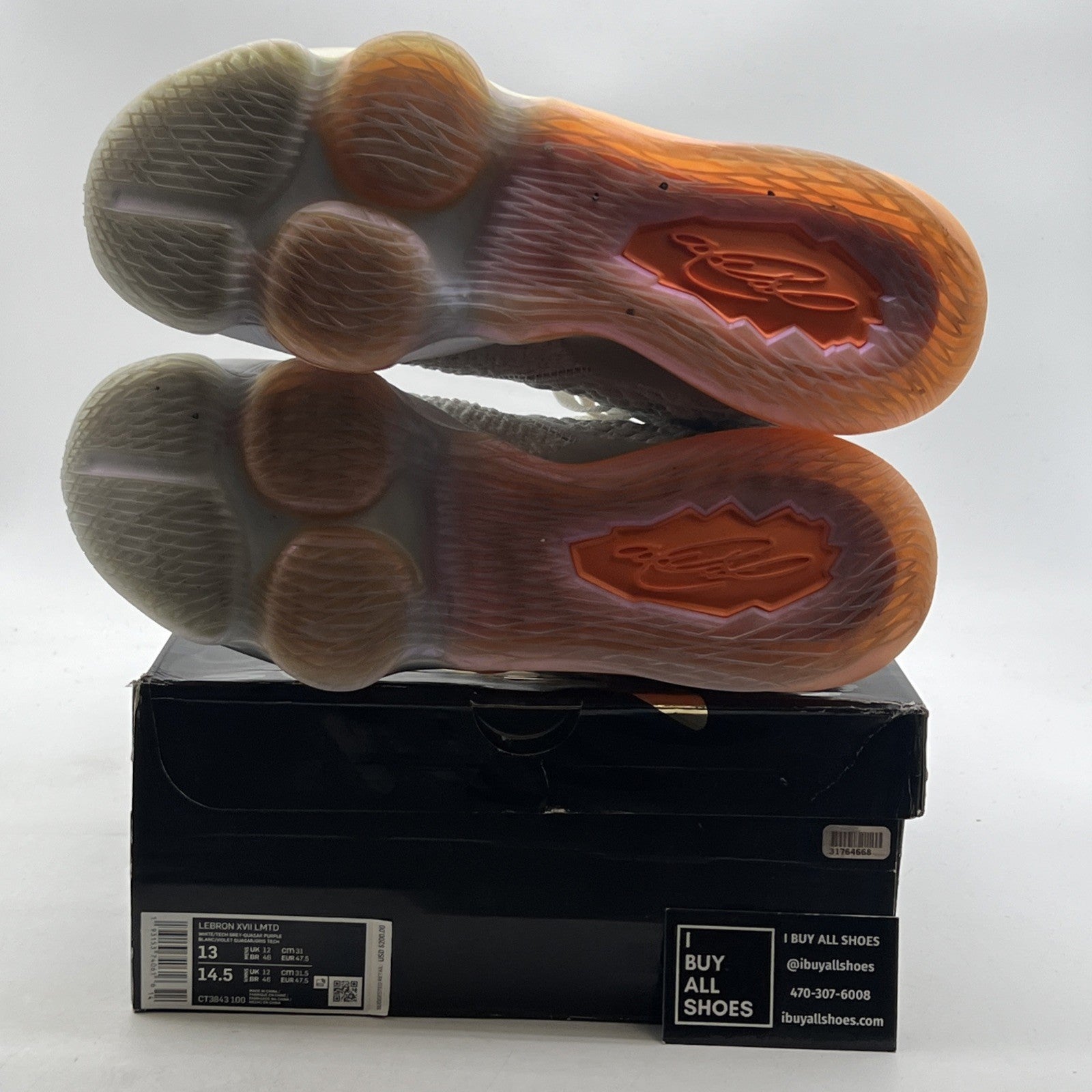 Size 13 - Nike LeBron 17 LMTD Future Air (CT3843-100)