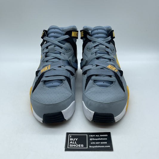 Size 11 - Nike Air Trainer Max 91 Gray (309748-005)