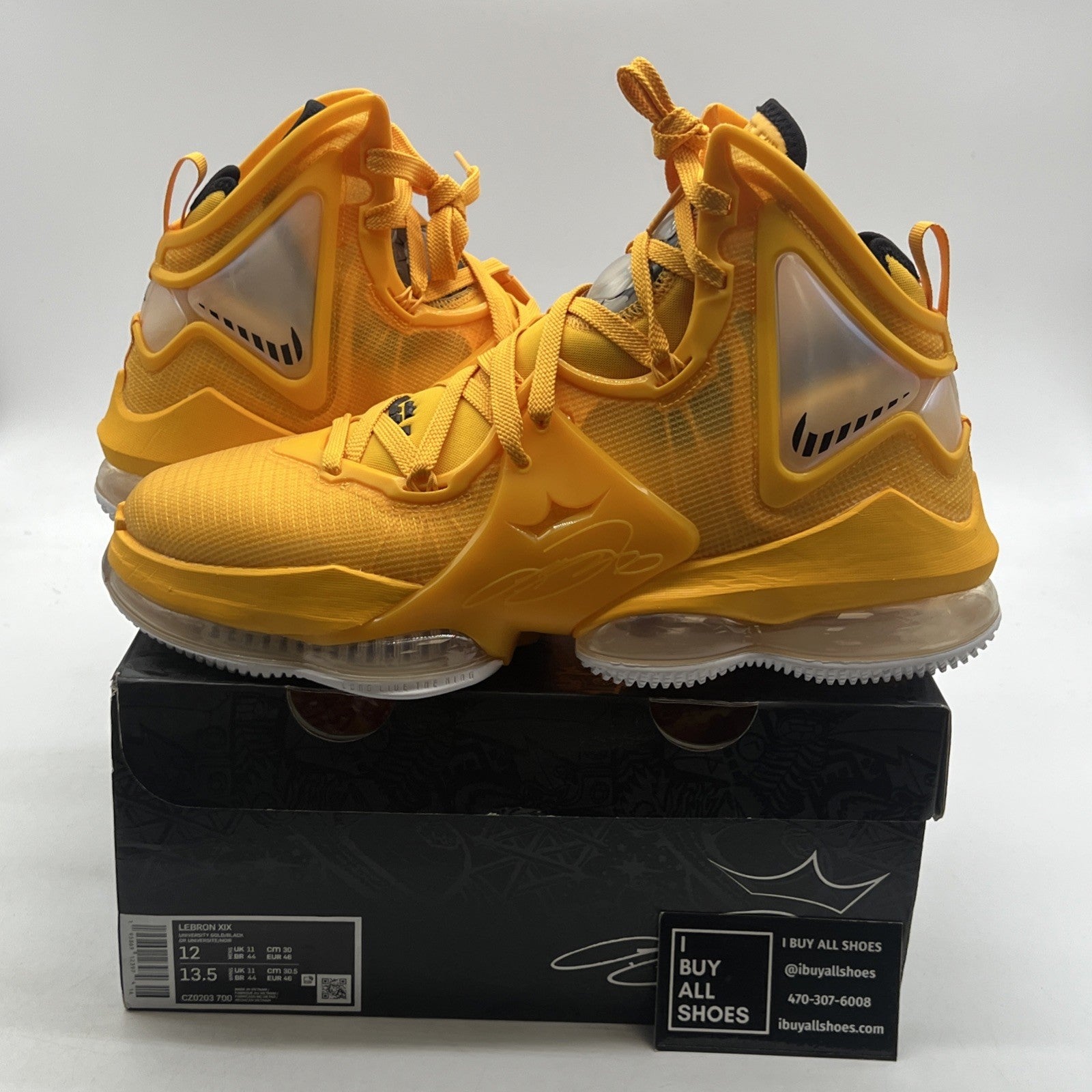Size 12 - Nike LeBron 19 Hard Hat (CZ0203-700)