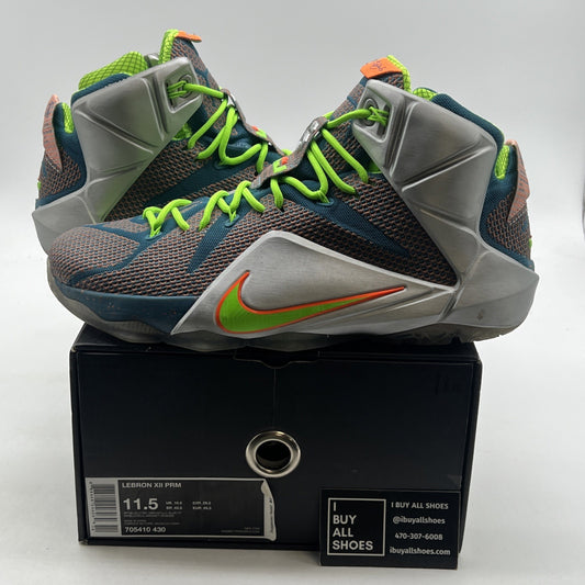 Size 11.5 - Nike LeBron 12 Trillion Dollar Man (705410-430)