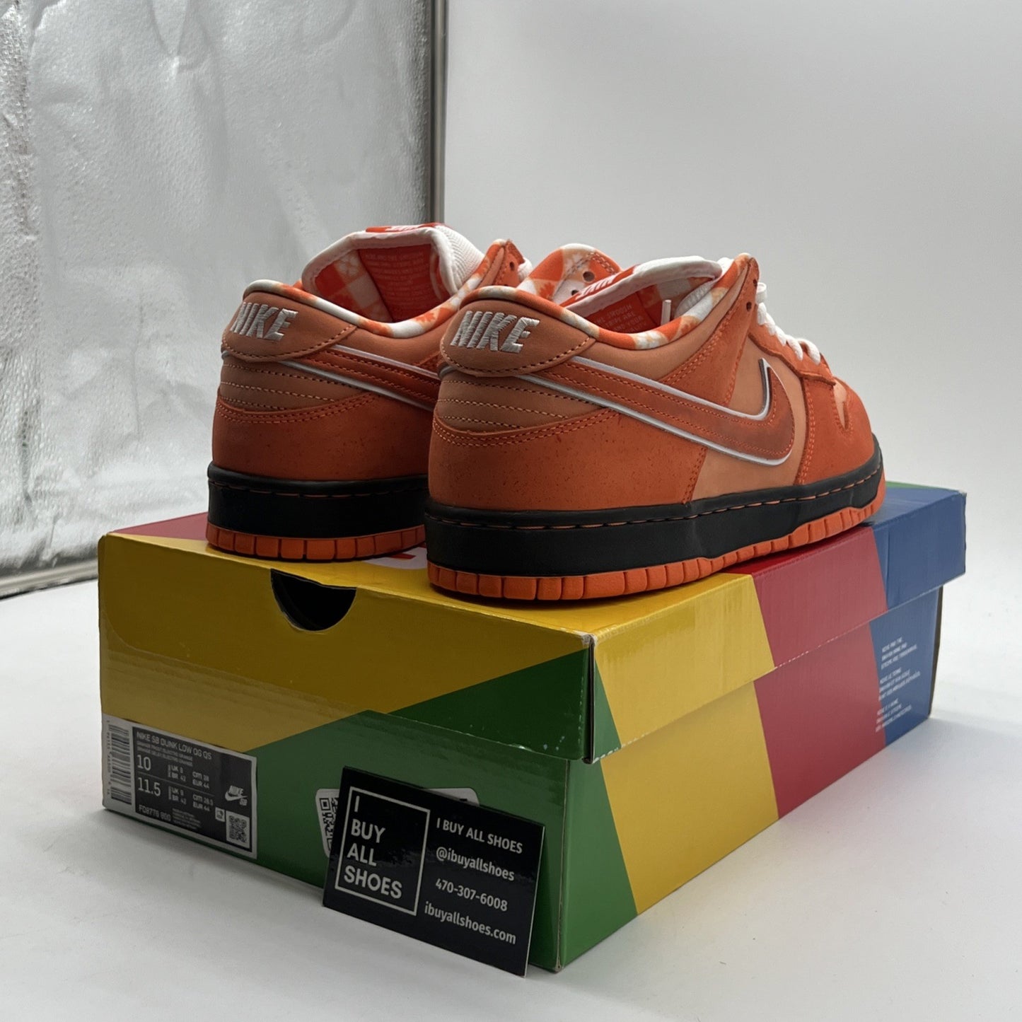 Size 10 - Nike Dunk Low SB x Concepts Orange Lobster (FD8776-800)