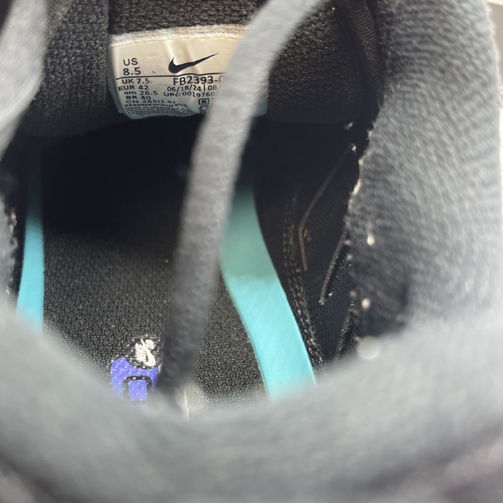Size 8.5 - Nike Air Max Ishod Wair SB Black Grape (FB2393-003)