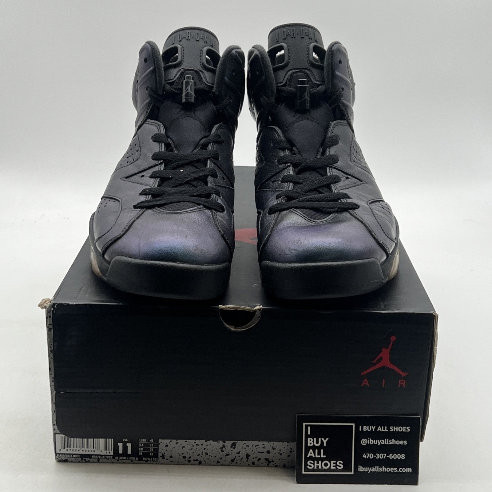 Size 11 - Air Jordan 6 Retro All Star - Chameleon (906961-015)