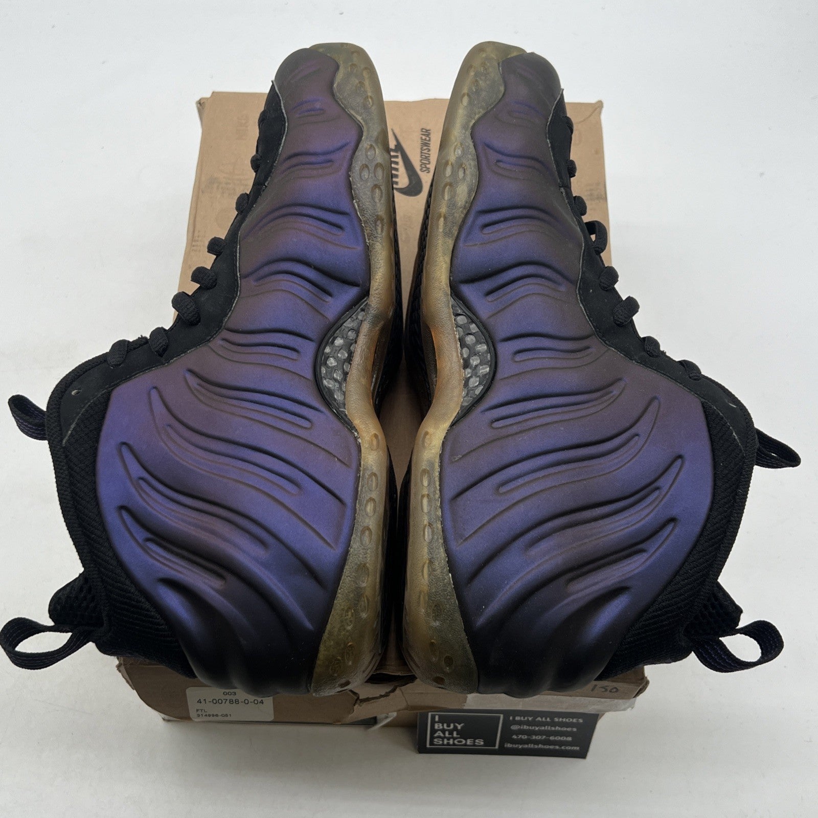 Size 10.5 - Nike Air Foamposite One 2010 Eggplant (314996-051)