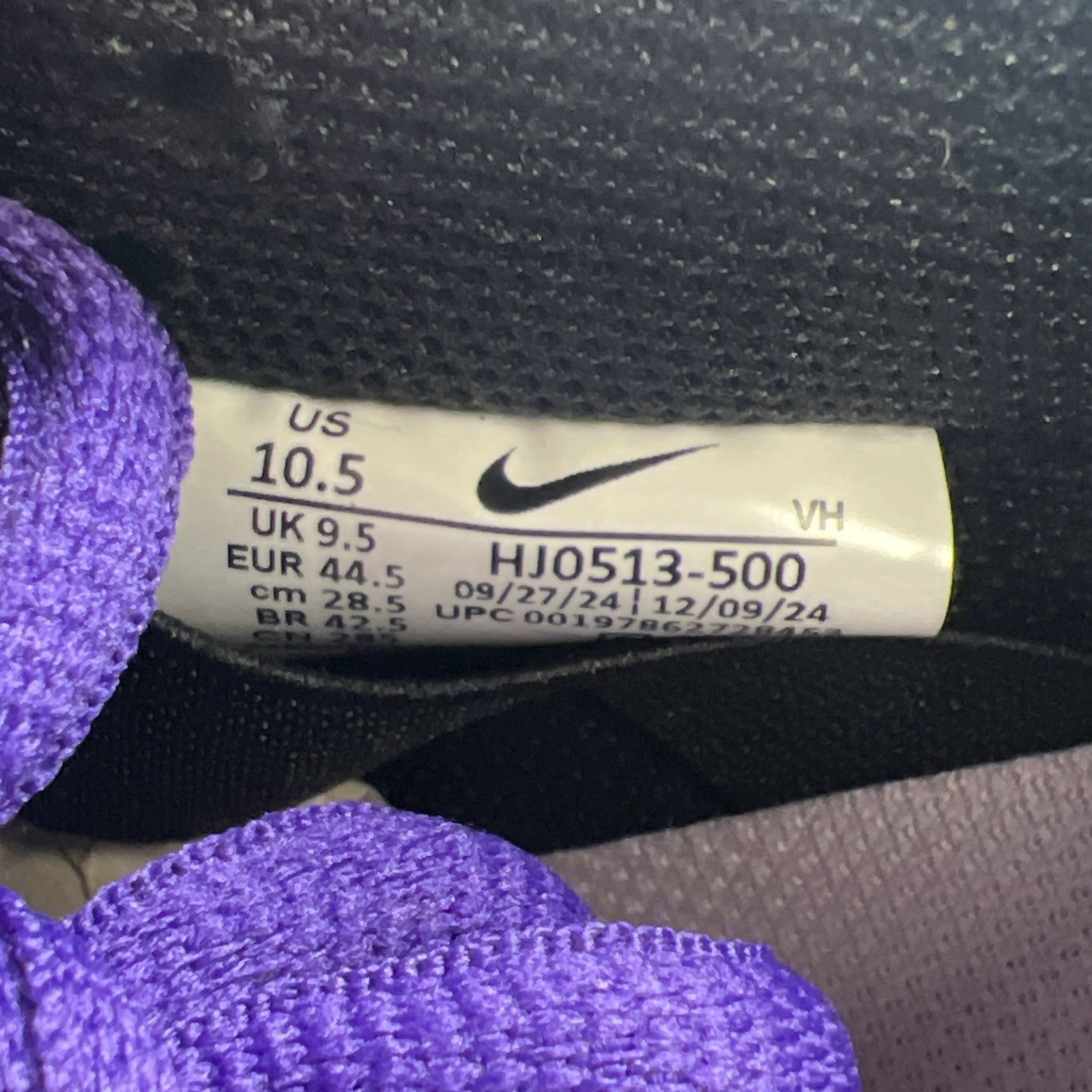 Size 10.5 - Nike Hayley Wilson x Dunk SB Low Court Purple (HJ0513-500)