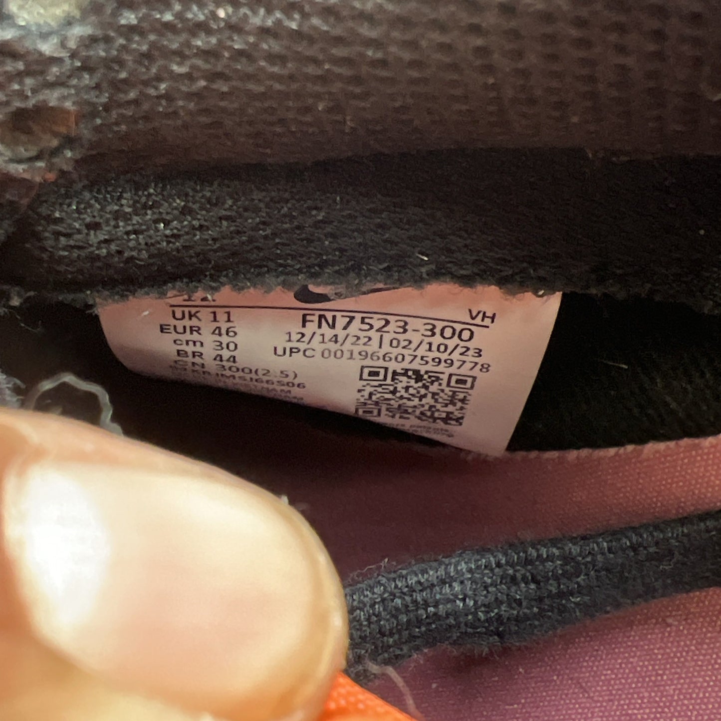 Size 12 - Nike Dunk SE Low Gone Fishing - Rainbow Trout (FN7523-300)