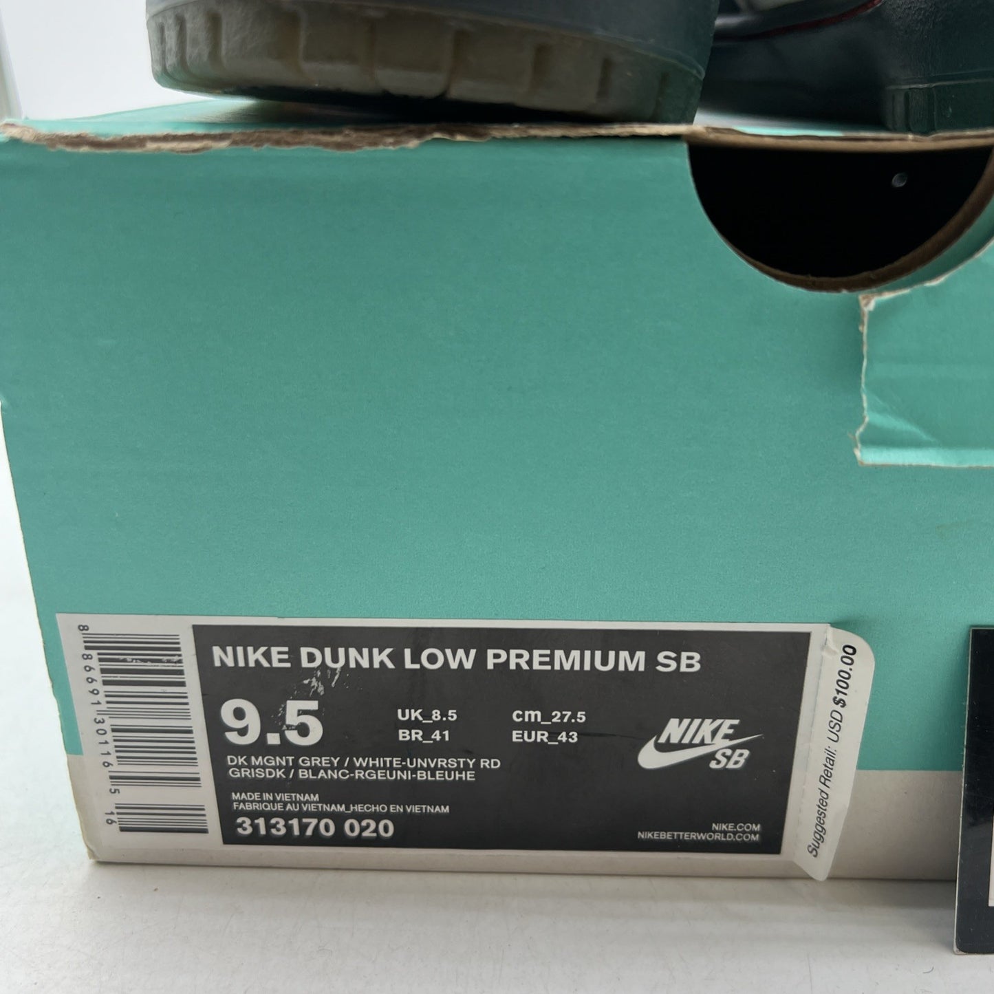 Size 9.5 - Nike Dunk Premium SB Low Dorothy (313170-020)