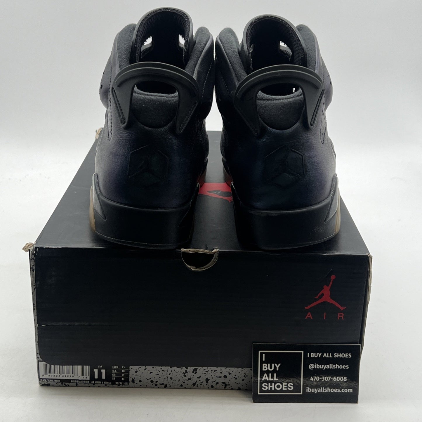 Size 11 - Air Jordan 6 Retro All Star - Chameleon (906961-015)