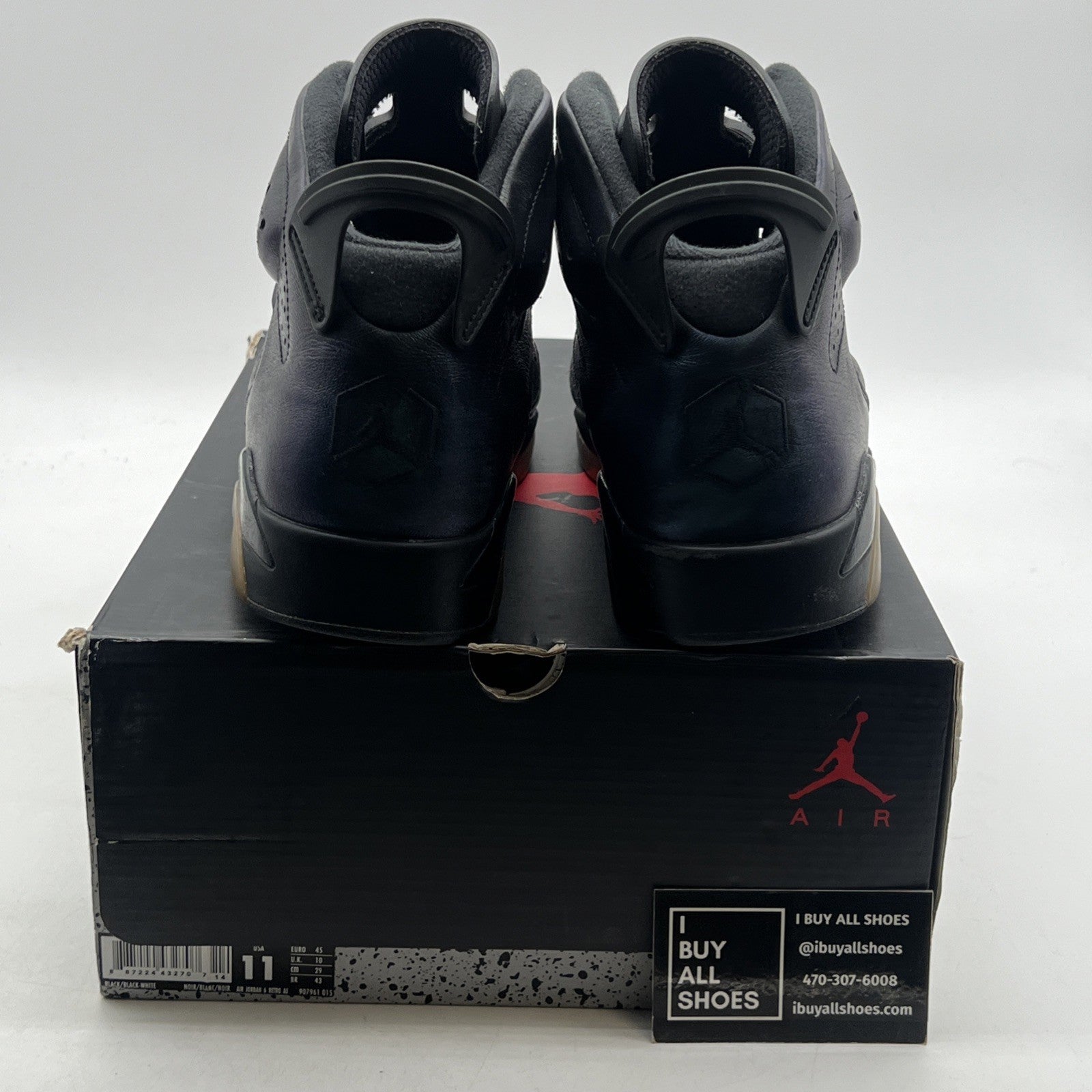 Size 11 - Air Jordan 6 Retro All Star - Chameleon (906961-015)