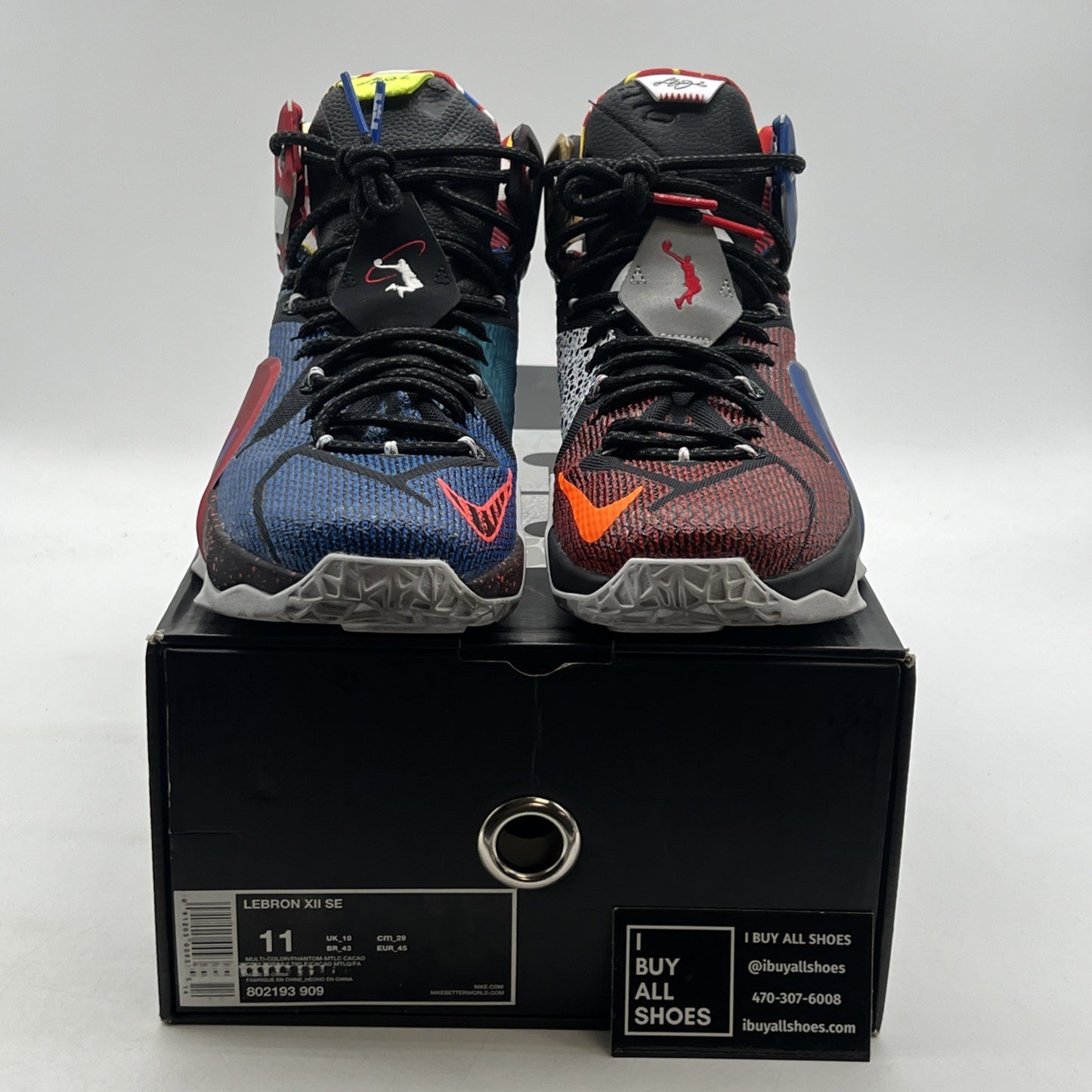 Size 11 - Nike LeBron 12 SE What The (802193-909)