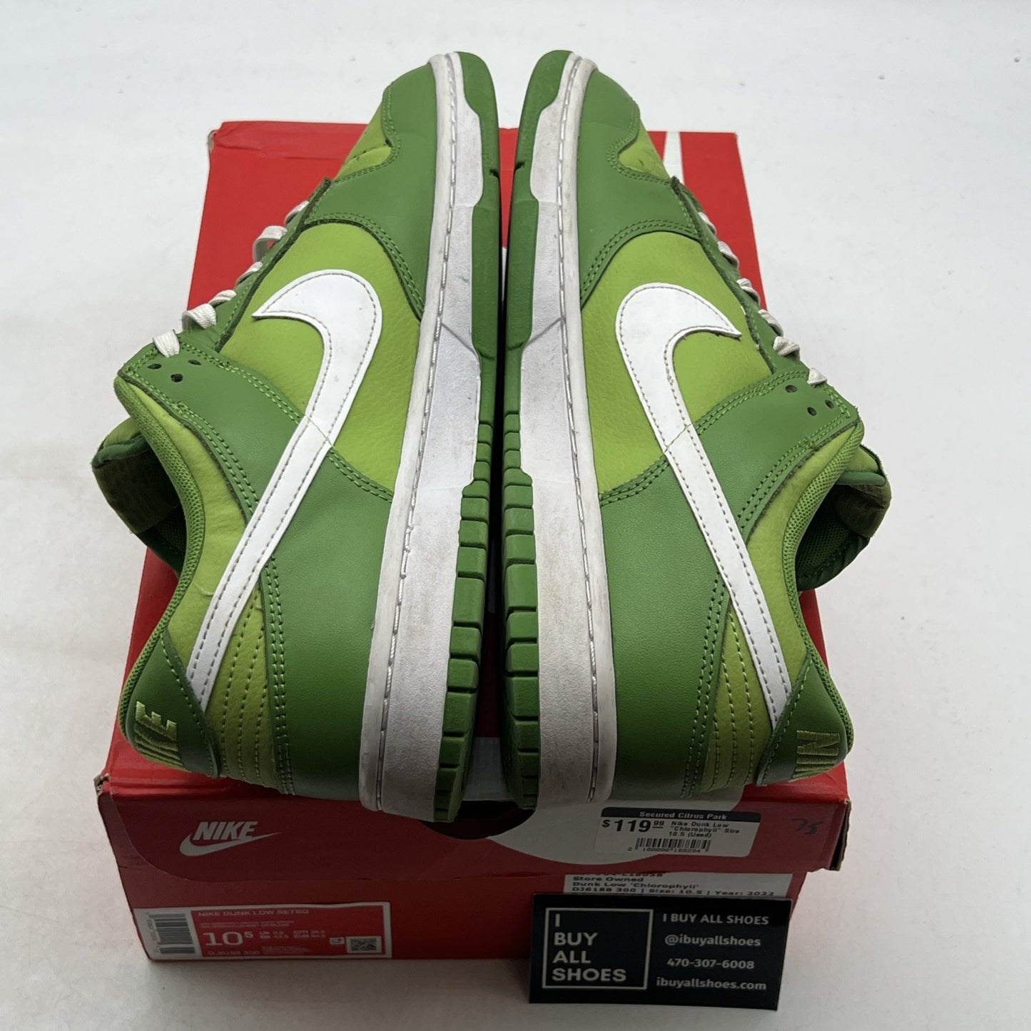 Size 10.5 - Nike Dunk Low Chlorophyll (DJ6188-300)