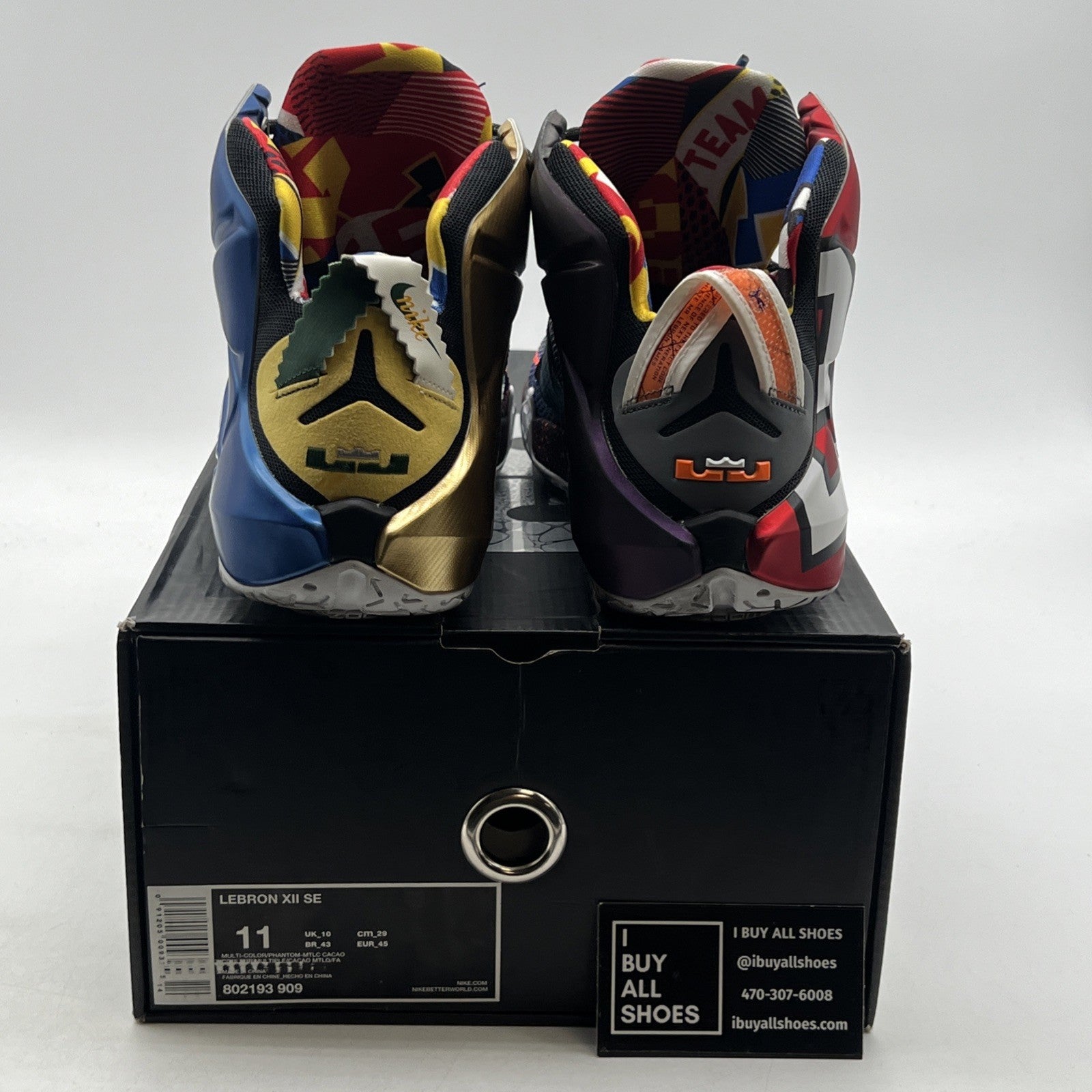 Size 11 - Nike LeBron 12 SE What The (802193-909)