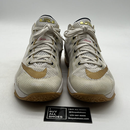 Size 12 - Nike LeBron 12 Low USA (724557-174)