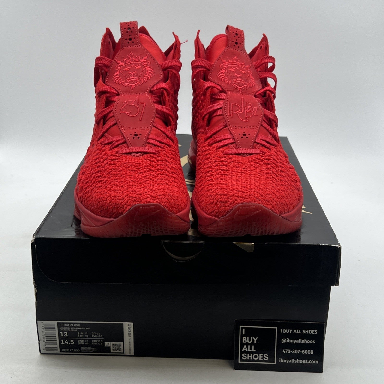 Size 13 - Nike LeBron 17 Red Carpet (BQ3177-600)