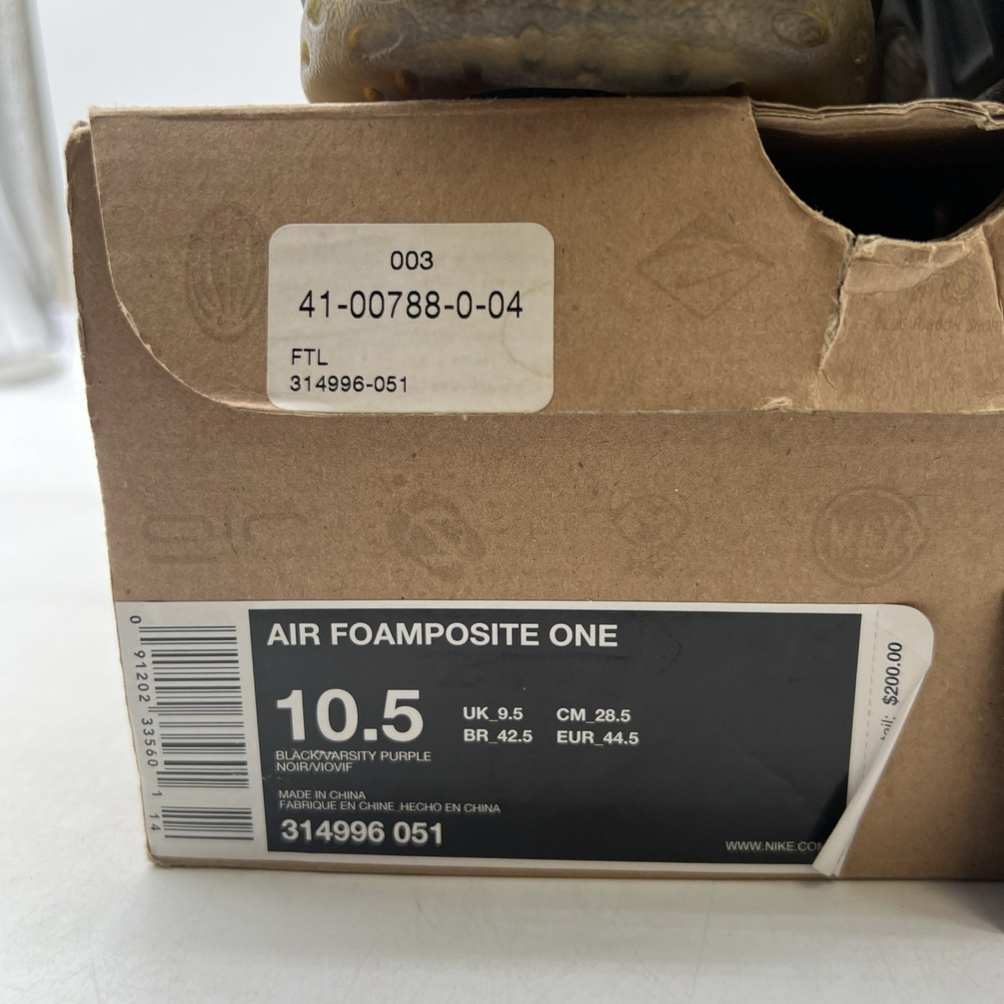 Size 10.5 - Nike Air Foamposite One 2010 Eggplant (314996-051)