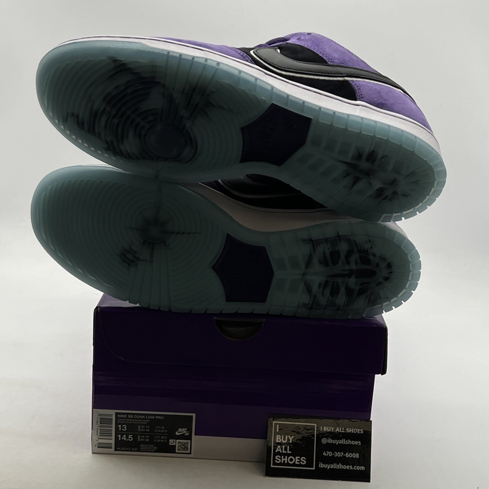 Size 13 - Nike Hayley Wilson x Dunk SB Low Court Purple (HJ0513-500)
