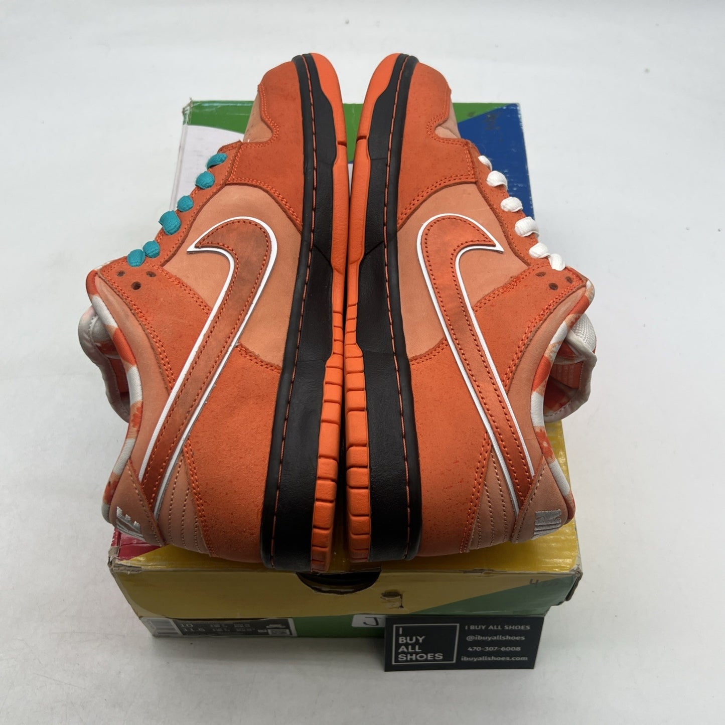 Size 10 - Nike Dunk Low SB x Concepts Orange Lobster (FD8776-800)