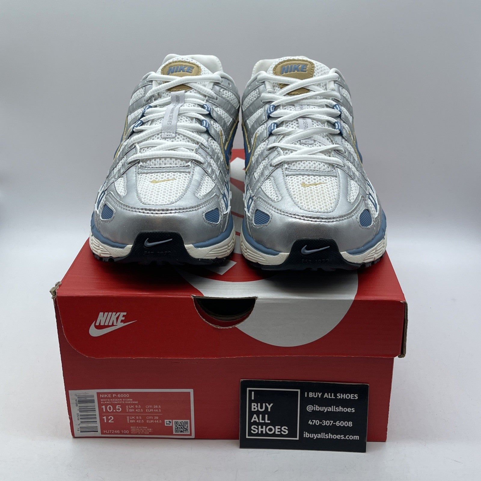 Size 10.5 - Nike P-6000 Metallic Silver Aegean Storm Leather (HJ7246-100)
