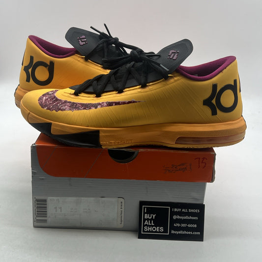 Size 11 - Nike KD 6 2013 Peanut Butter & Jelly (599424-801)