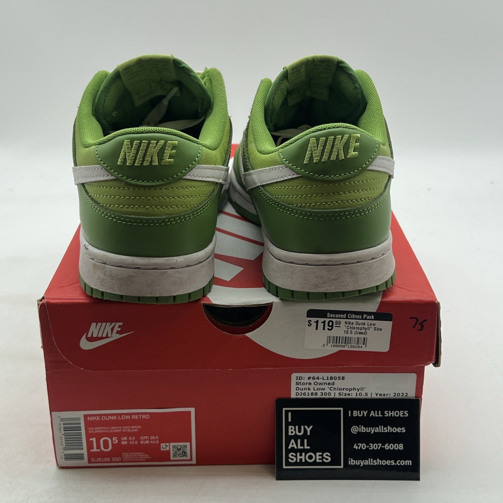 Size 10.5 - Nike Dunk Low Chlorophyll (DJ6188-300)