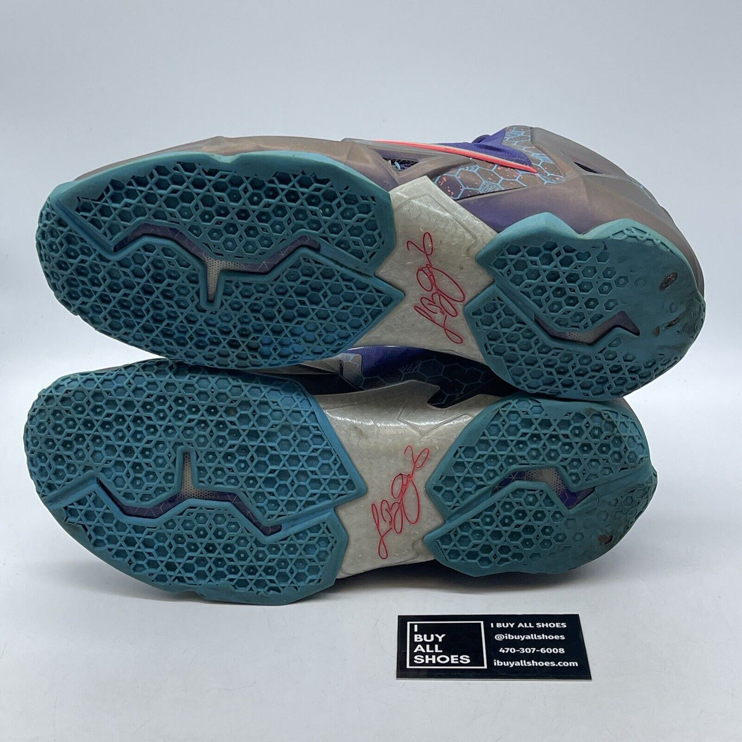 Size 12 - Nike LeBron 11 Hornets Purple Silver Suede Leather (616175-5000)