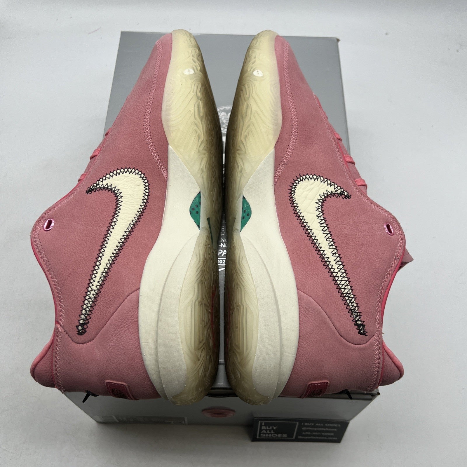 Size 13 - Nike LeBron 20 South Beast (DQ3828-900)