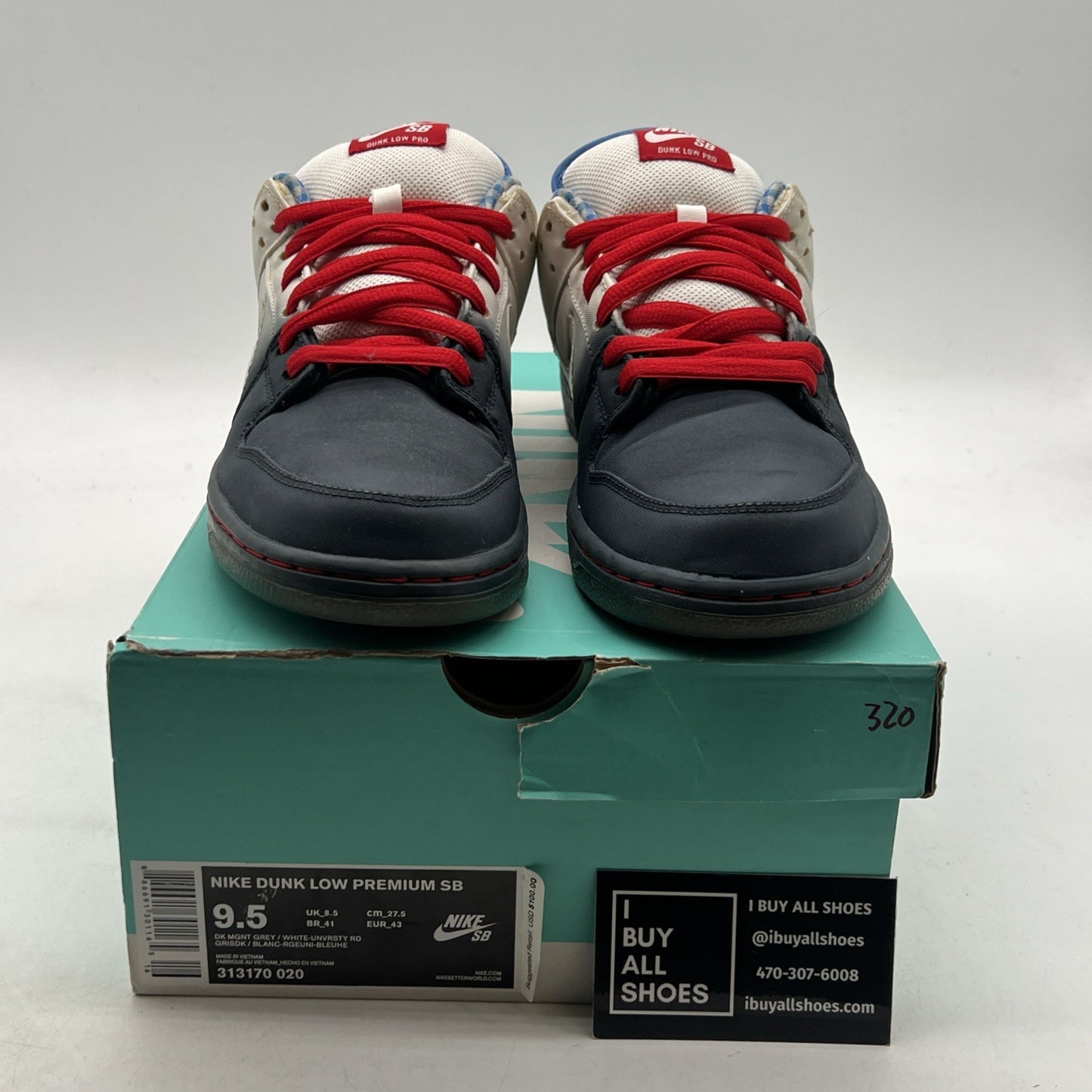 Size 9.5 - Nike Dunk Premium SB Low Dorothy (313170-020)