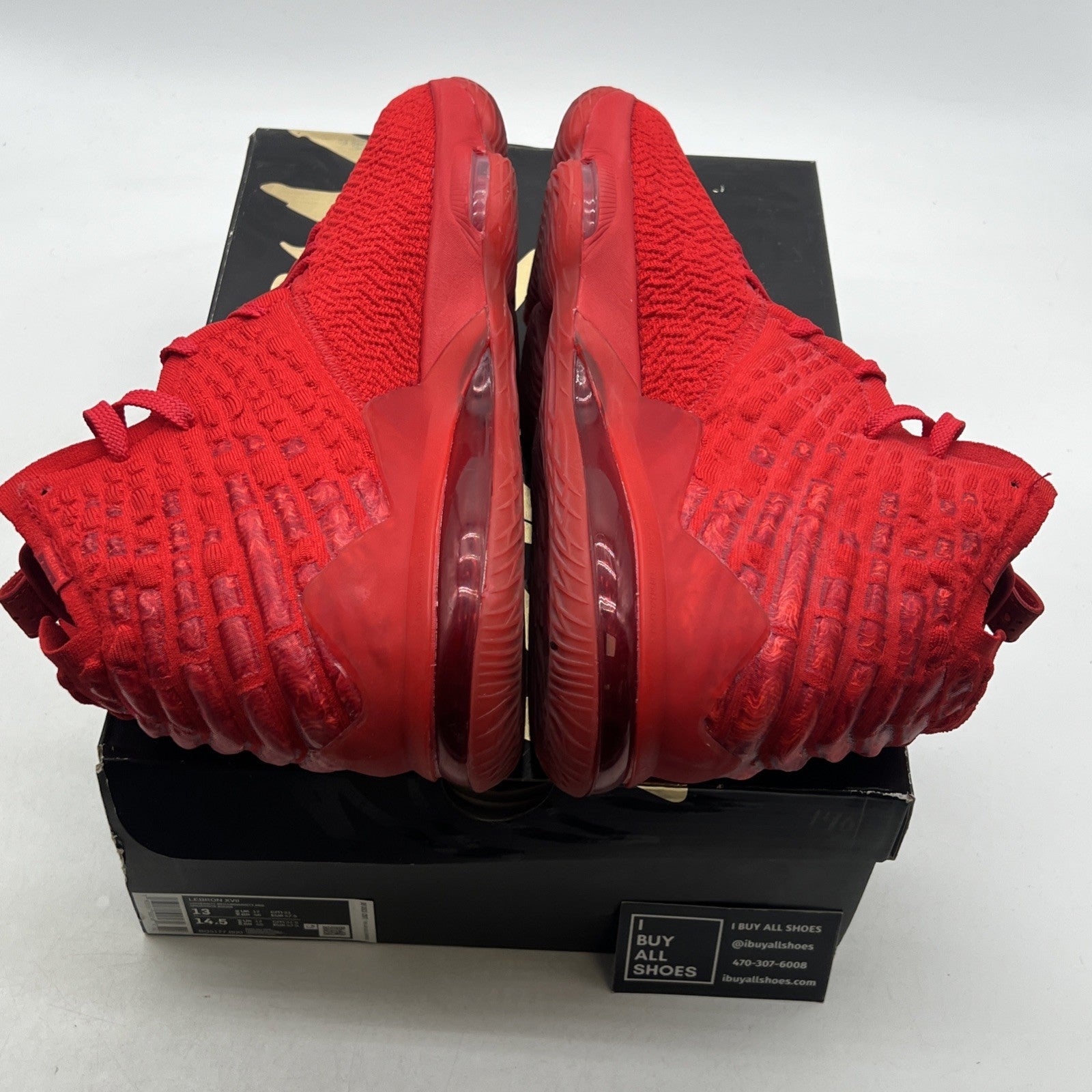 Size 13 - Nike LeBron 17 Red Carpet (BQ3177-600)