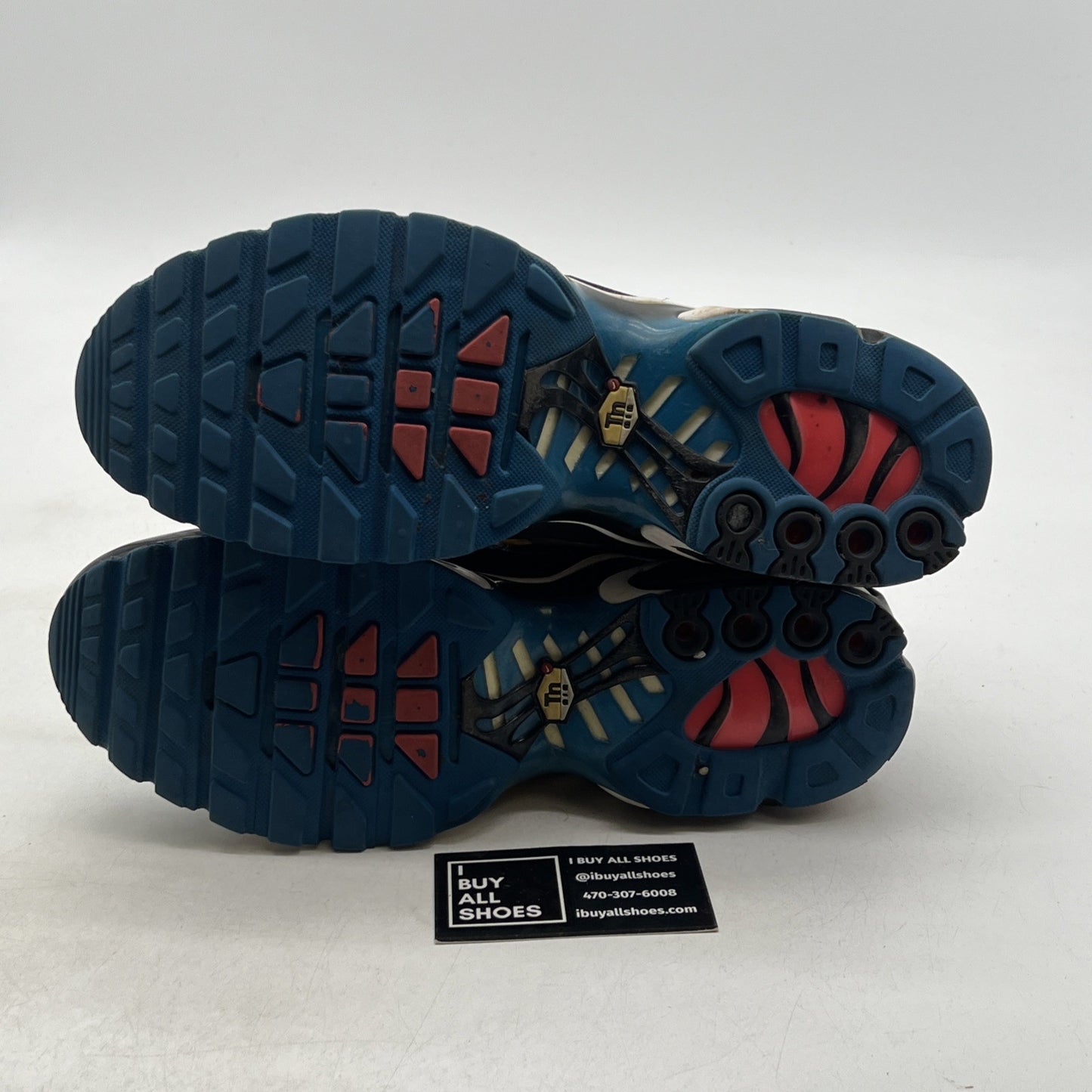 Size 9.5 - Nike Air Max Plus Time Capsule (CT1618-400)