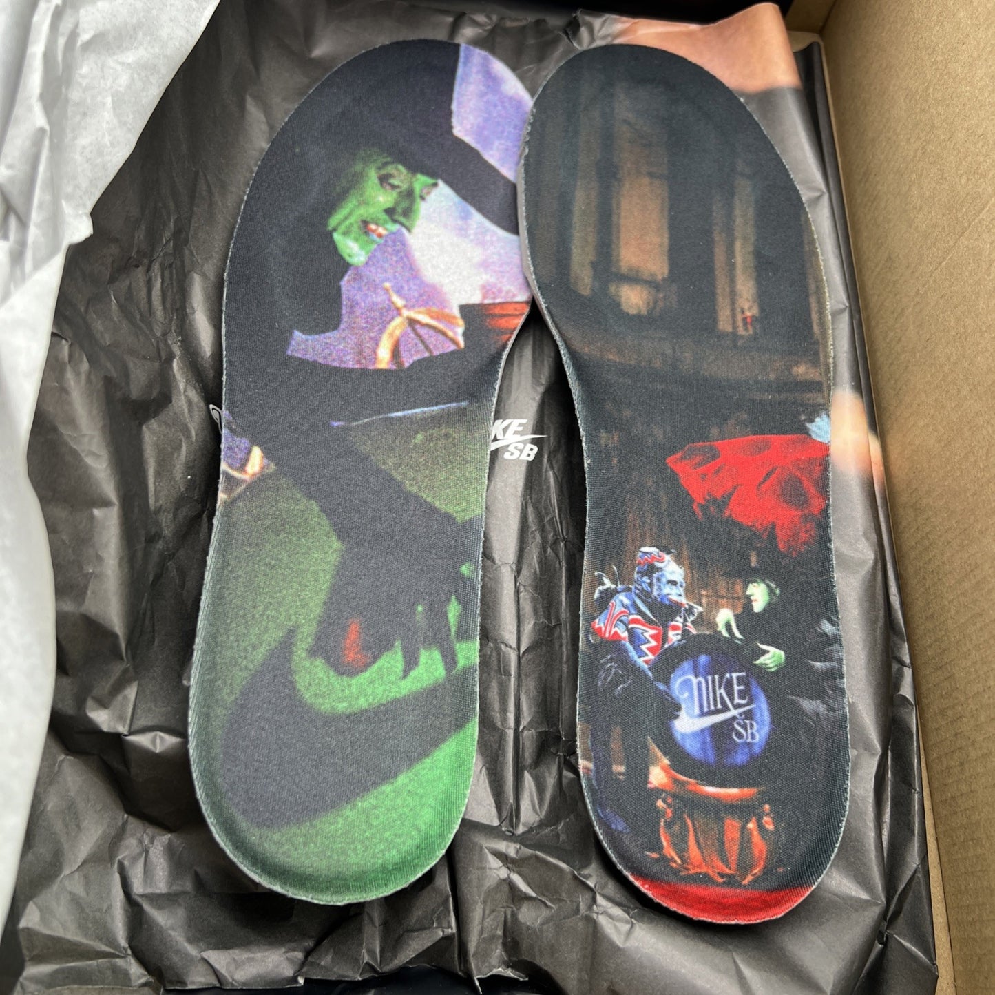 Size 9 - Nike The Wizard of Oz x Dunk SB Low Poppy Field (FZ1291-600)