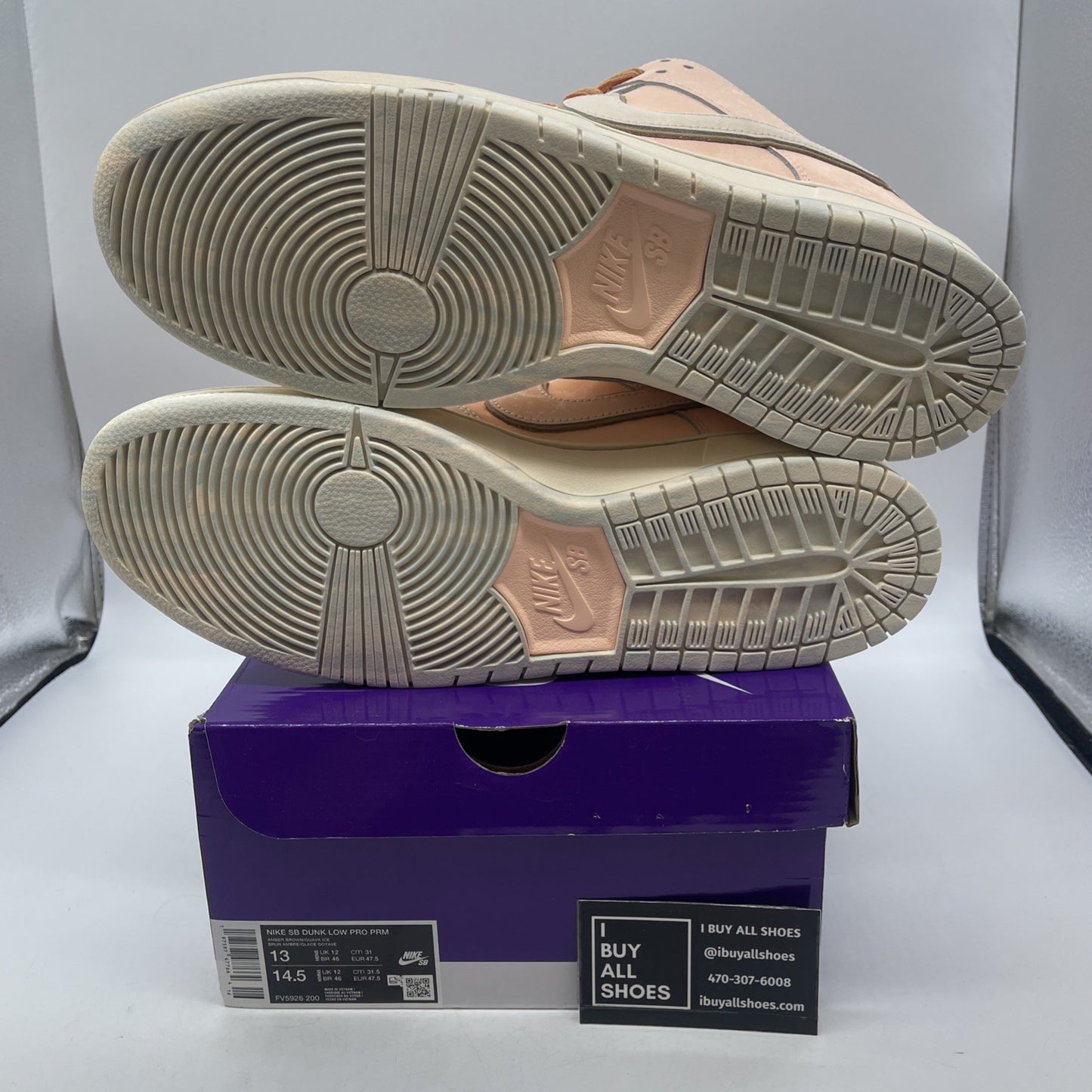Size 13 - Nike Dunk SB Low Trocadéro Gardens (FV5926-200)