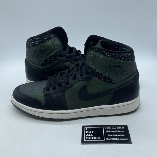 Size 9.5 - Craig Stecyk x Air Jordan 1 SB Black Green Leather (653532-001)