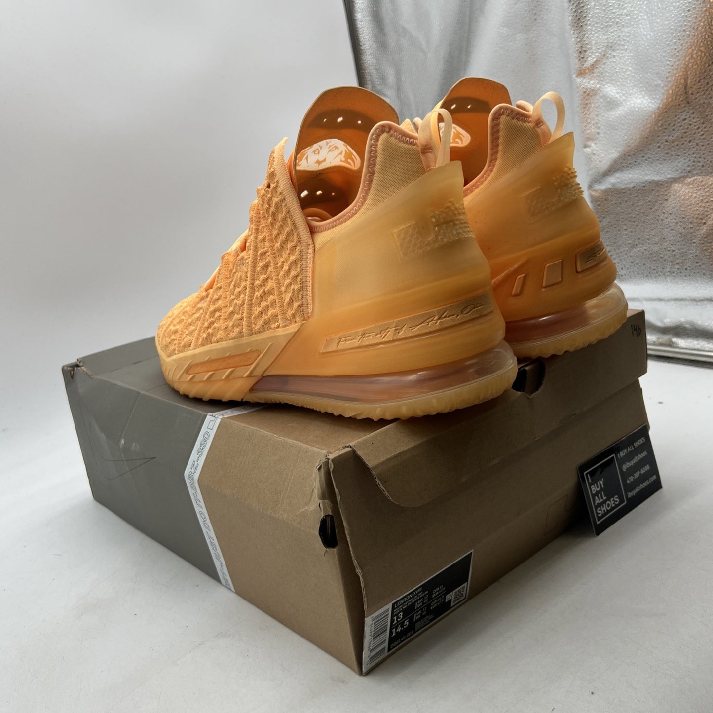 Size 13 - Nike LeBron 18 Sisterhood (DB8148-801)