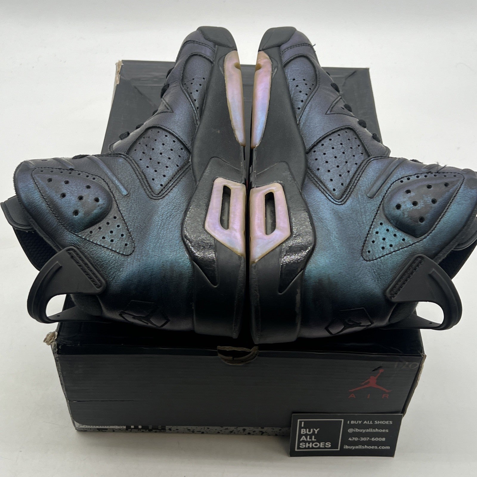 Size 11 - Air Jordan 6 Retro All Star - Chameleon (906961-015)