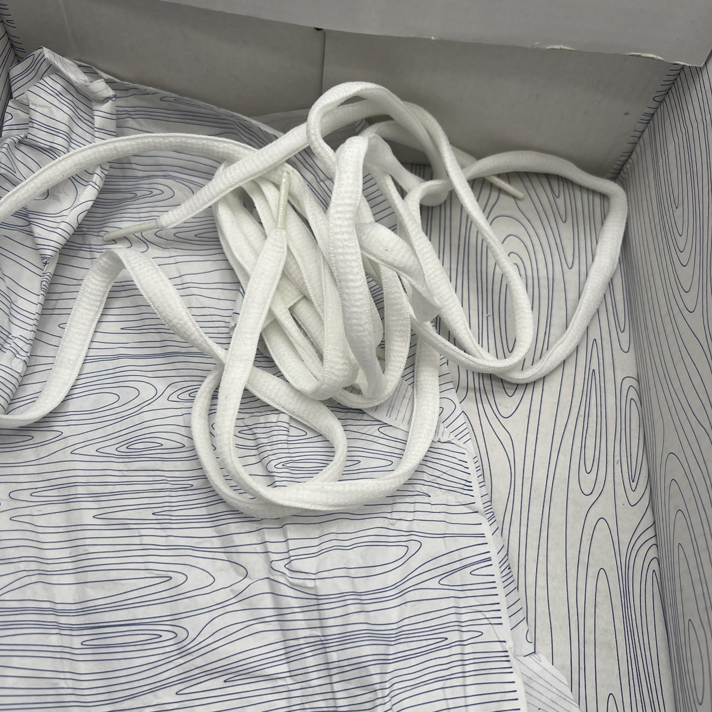 Size 11 - Nike Dunk Pro SB Low Space Jam (304292-021)