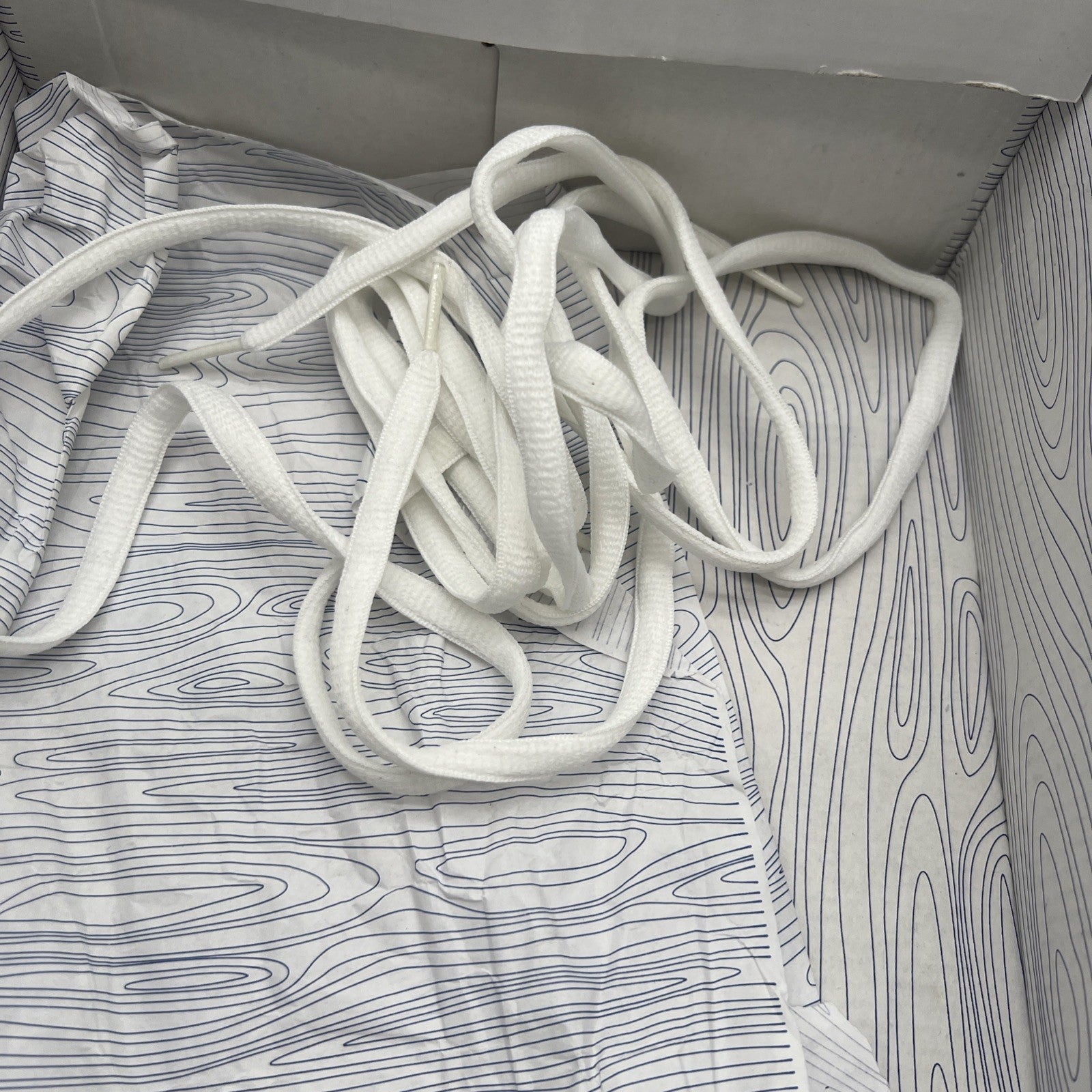 Size 11 - Nike Dunk Pro SB Low Space Jam (304292-021)