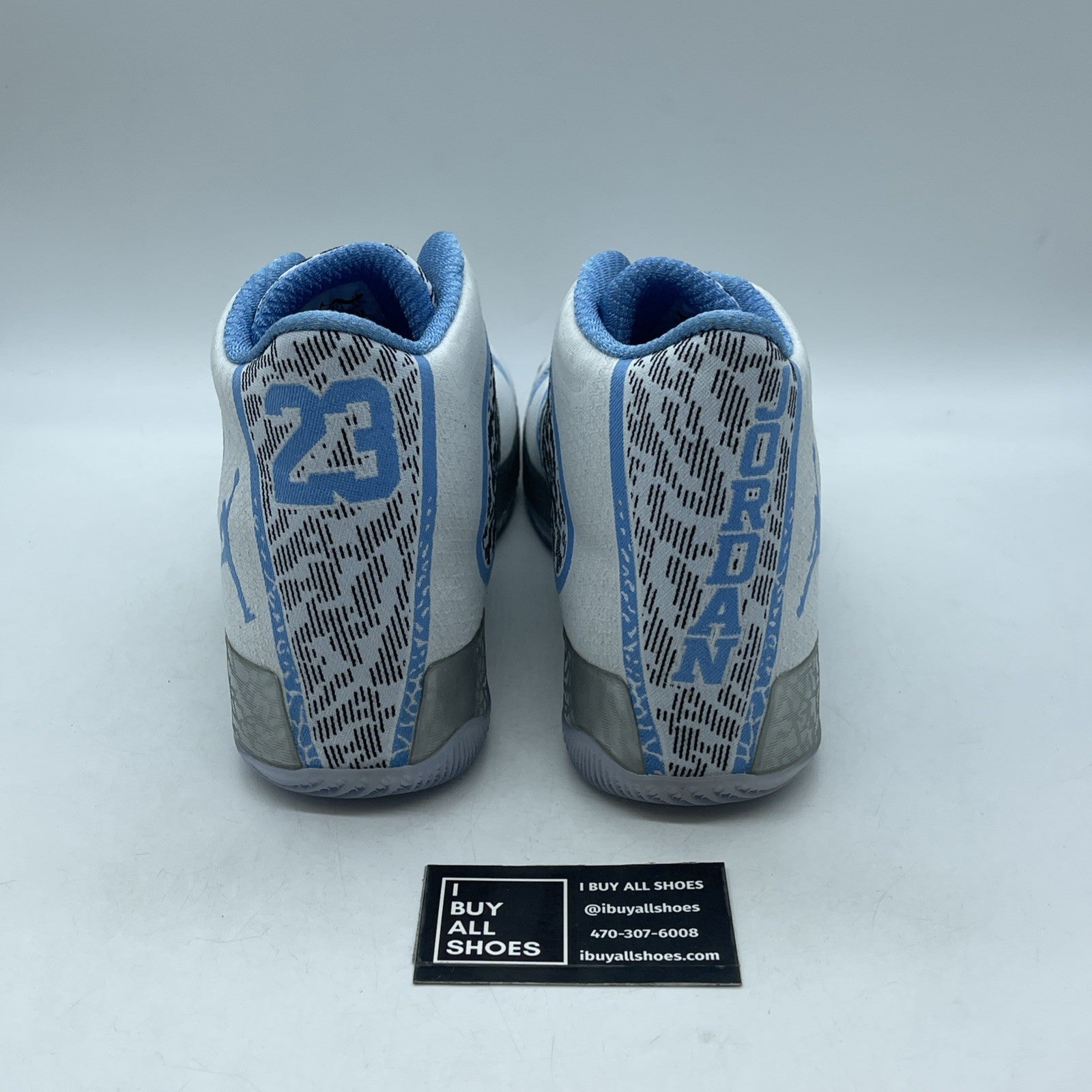 Size 13 - Air Jordan 29 Pantone (717796-108)