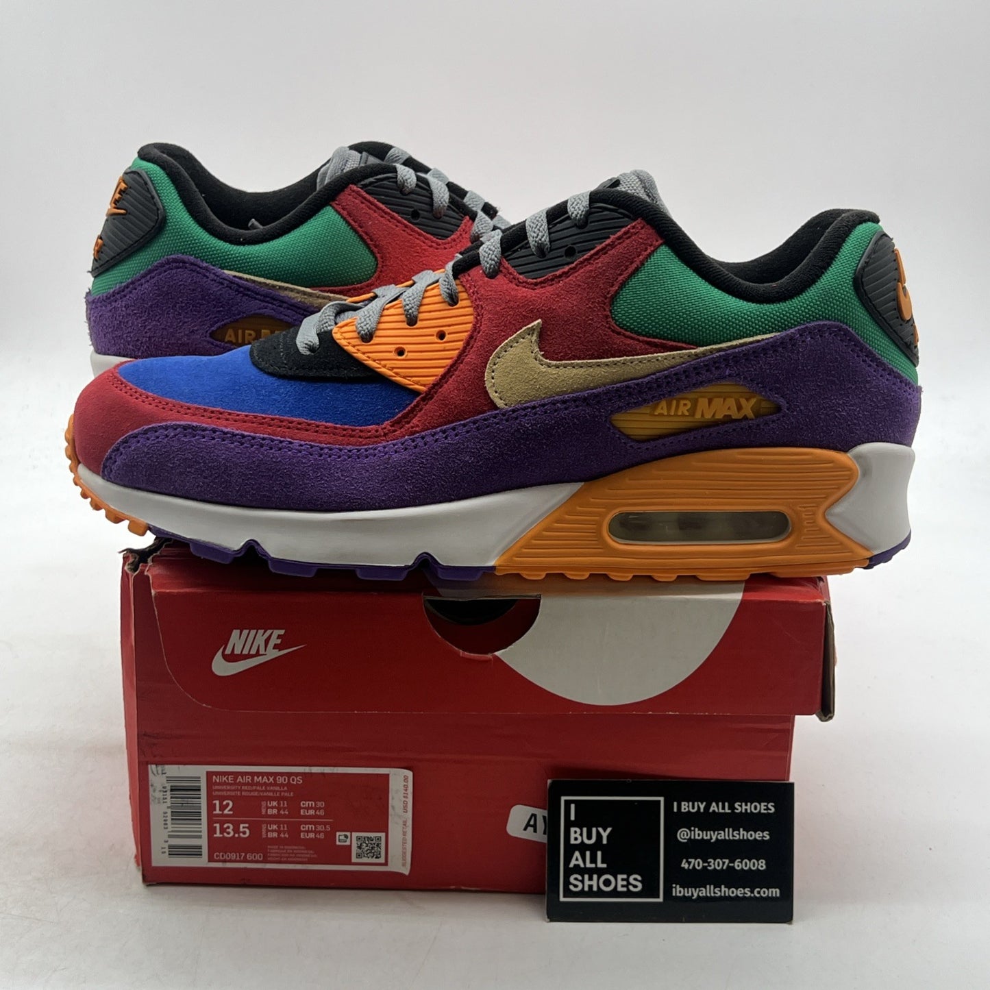 Size 12 - Nike Air Max 90 Viotech (CD0917-600)