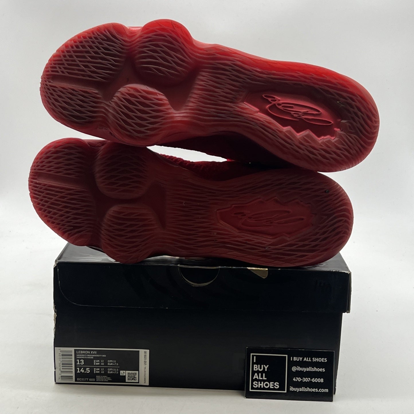 Size 13 - Nike LeBron 17 Red Carpet (BQ3177-600)