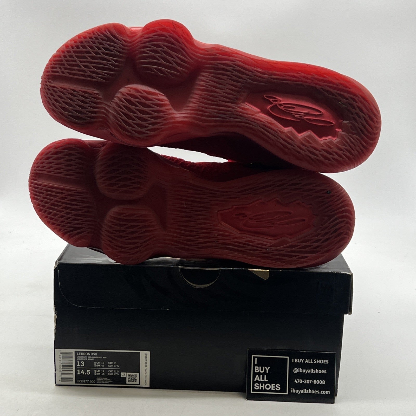Size 13 - Nike LeBron 17 Red Carpet (BQ3177-600)